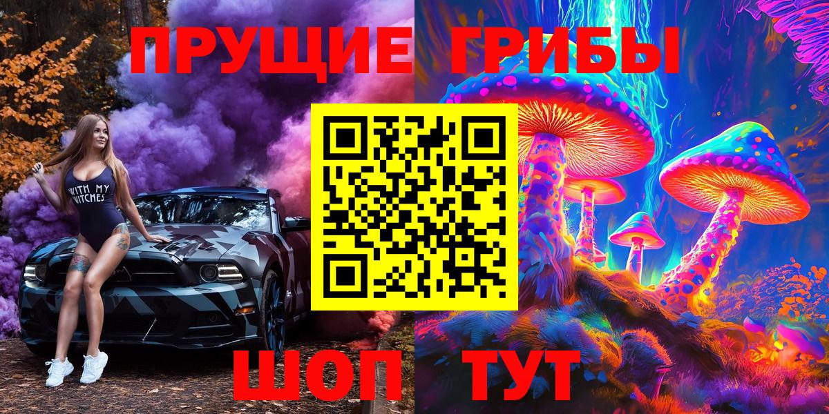 как найти закладки  Вход с VPN  Старая Русса  Галлюциногенные грибы Psilocybe 